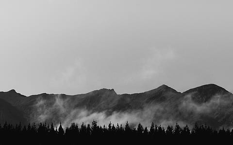 silhouette of pine trees with mountain background thumbnail