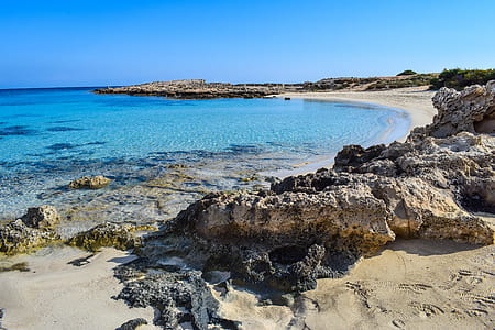 brown and grey seashore during daytime thumbnail