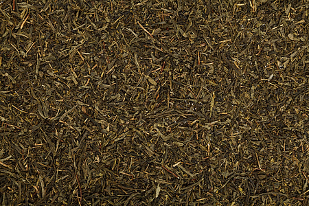 dried leaves field thumbnail