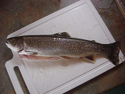 gray bass fish on cutting board thumbnail