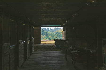 photography of empty barn thumbnail