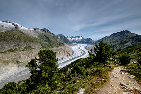 highway beside trees thumbnail
