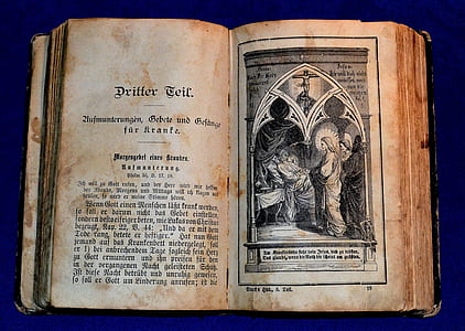 Pritter Teif book page thumbnail