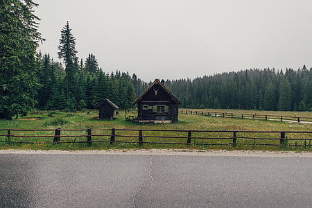brown cabin on green field near pine trees thumbnail