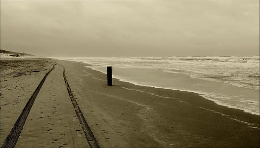 sepia tone photography of seashore thumbnail