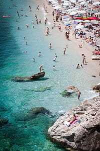 group of people on seashore during daytime thumbnail