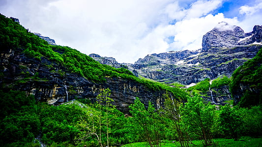 jungle under white clouds during daytime thumbnail