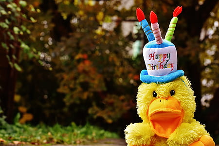 duckling puppet on ground thumbnail