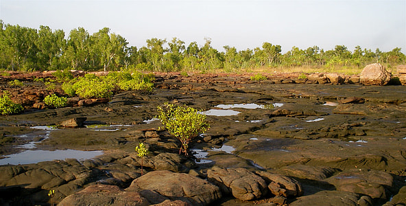 Tidal Rivulet, Kimberly Rangers thumbnail
