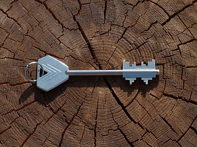 silver skeleton key on slab thumbnail