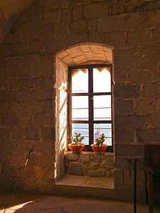 two plastic brown potted plants on window thumbnail