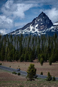 Mountain and Forest landscape in Colorado thumbnail