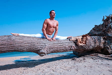 Man Splitting on Tree thumbnail