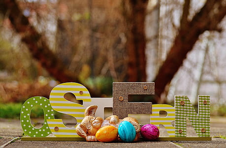 Easter Bunny decor thumbnail