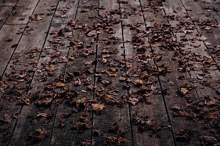 weathered leaves on brown wooden pallet surface thumbnail