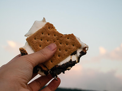 person holding crackers with vanilla fillings thumbnail