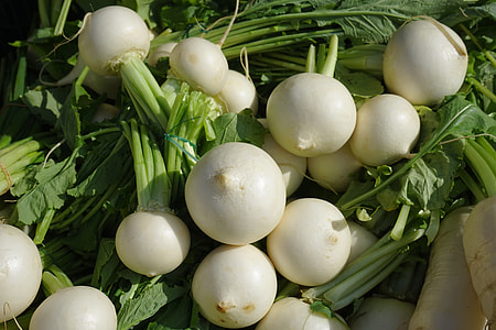 round radish lot thumbnail