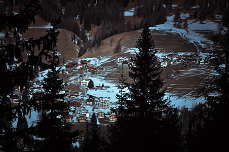aerial photo of pine trees and houses on brown hills thumbnail