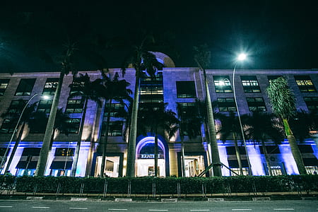 road, landmark, lights, night thumbnail