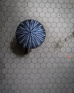 person holding umbrella walking on concrete pathway thumbnail