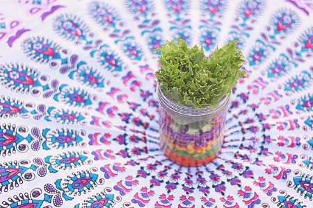 green leaf plant on acrylic container on top of print textile thumbnail