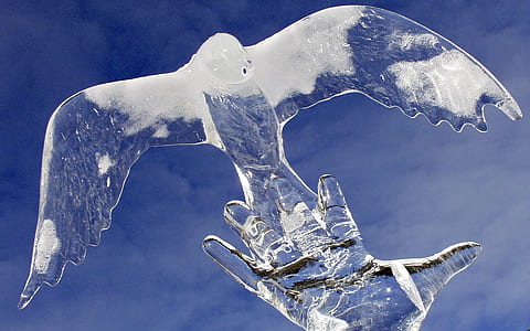close up photo of eagle ice carving thumbnail