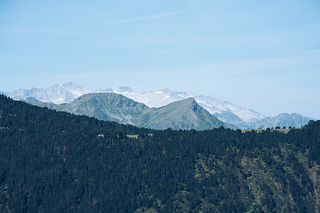 trees and mountain ahead thumbnail