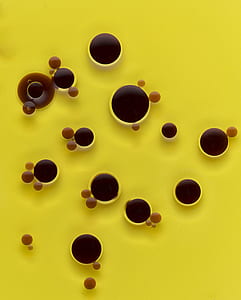 black and brown bubble art thumbnail