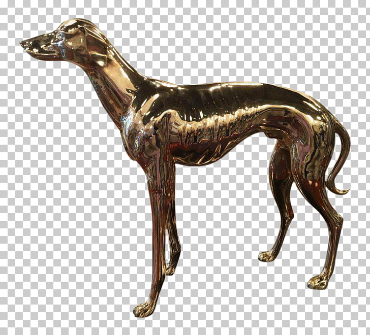 17 Mudhol Hound Png Cliparts For Free Download Uihere