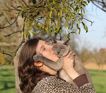 selective focus photography of woman carrying gray cat under green tree thumbnail