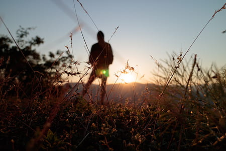 silhouette of person in the grass thumbnail