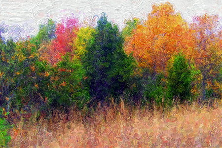 trees by the field thumbnail