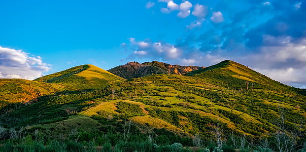 forest mountain during day time thumbnail