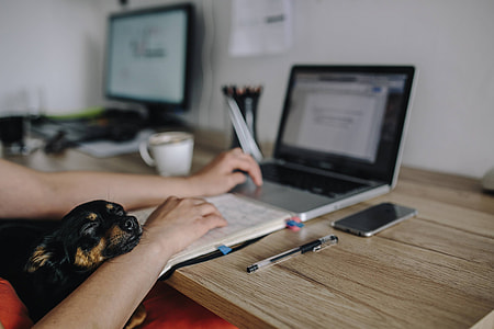 Woman working on her laptop with her dog thumbnail