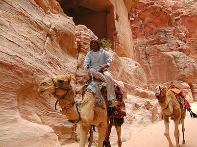 man camel back riding during daytime thumbnail