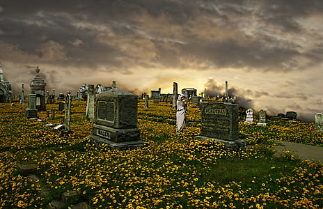 concrete tombstones surrounded with yellow flowers field under gray clouds thumbnail