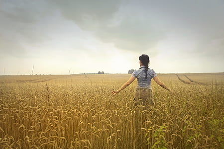 Woman Standing on Rice Field during Cloudy Day thumbnail