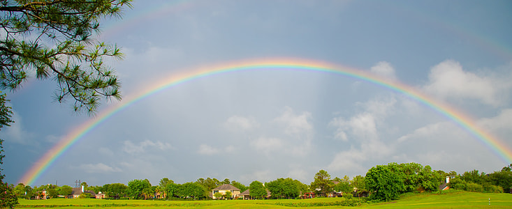 trees under a rainbow thumbnail