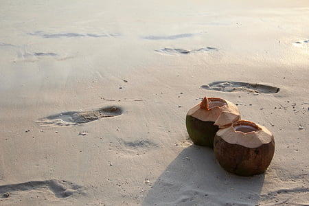 two open coconut fruits on seashore with human footsteps at daytime thumbnail