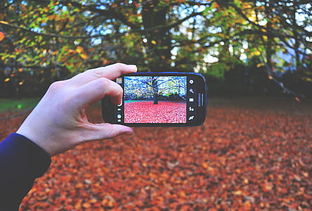 person taking a photo of a tree thumbnail