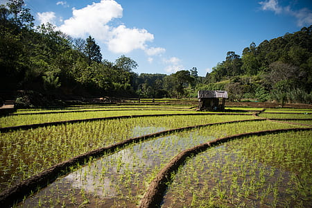 landscape photography of brown wooden house in the middle of green farm thumbnail