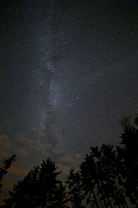 star above tall trees thumbnail