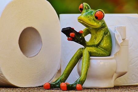 frog sitting on toilet holding phone figurine thumbnail