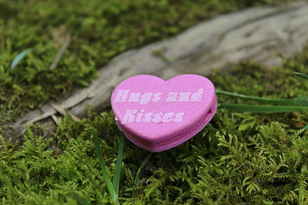 pink heart case on green leaf thumbnail