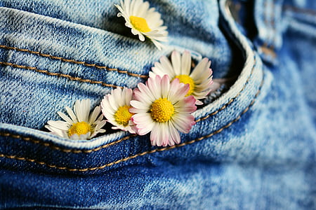 tilt shift lens photography of pink and white flowers thumbnail