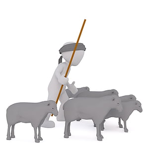 shepherd illustration thumbnail