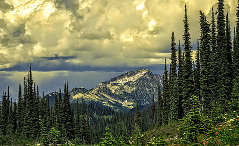 trees and mountain view under cloudy sky thumbnail