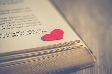 close up photo of white book thumbnail