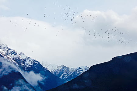 white and blue mountain thumbnail