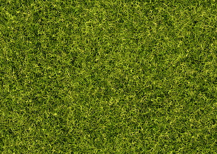 green grass thumbnail